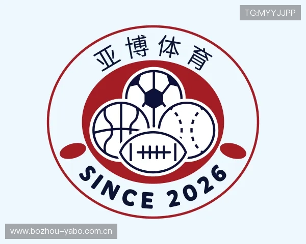 概述亚博开云